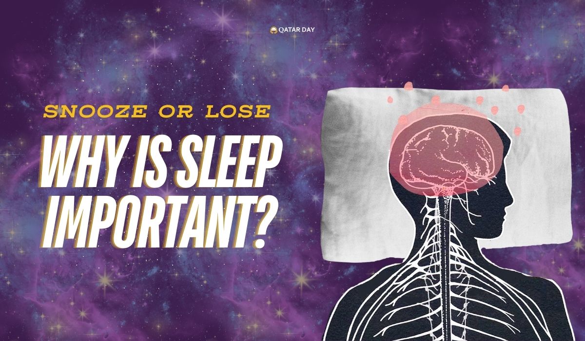 Snooze or Lose: Why Sleep is Important for You?